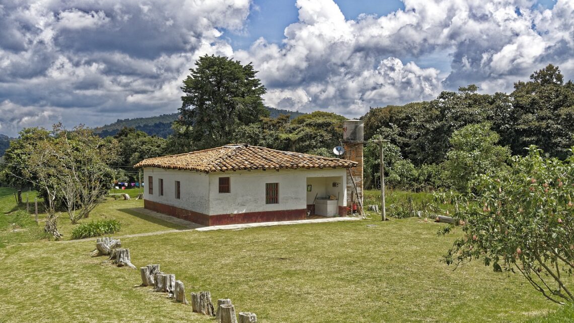 Finca auf Mallorca – Tipps für die perfekte Gartengestaltung